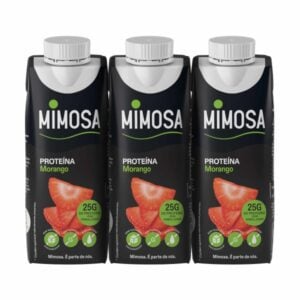Leite Proteína Morango sem Lactose Mimosa