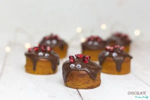 Muffins de Abóbora e Cacau