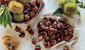 castanha