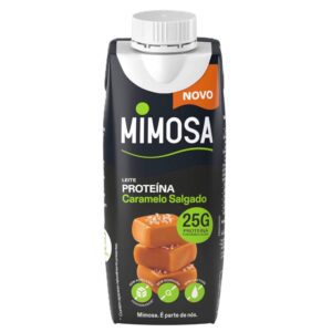 Leite Proteína Caramelo Salgado, sem Lactose