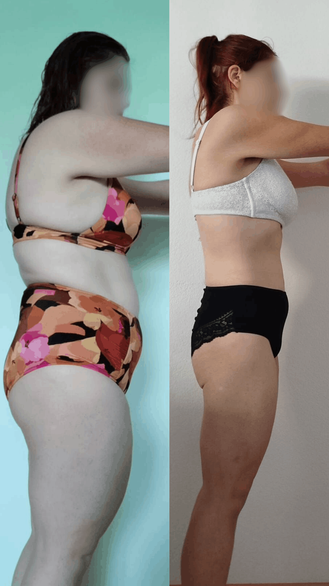 dianadinis-emagrecesemdietas-tranforma2